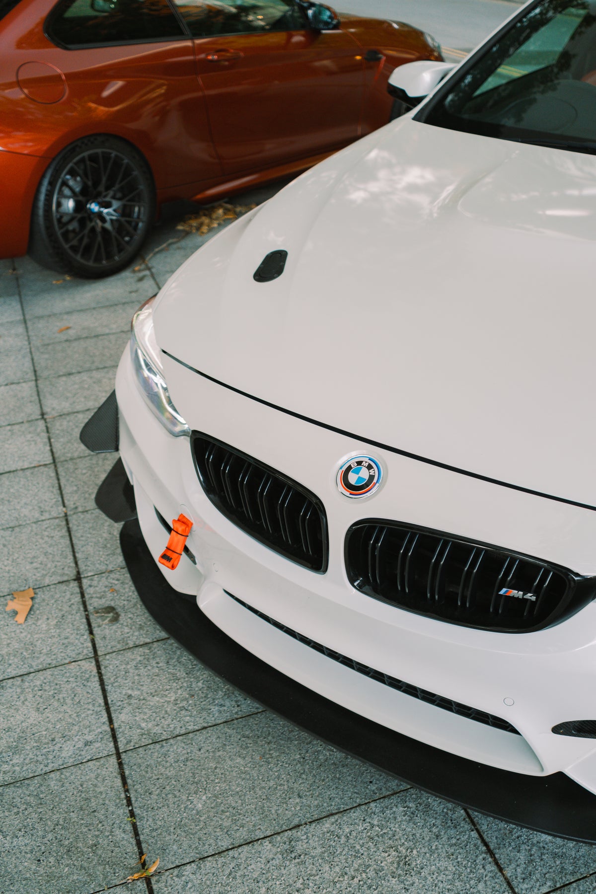 Nineteen72 Performance Carbon GT4 side canards on BMW M3 F80 and M4 F82 front bumper trim, carbon fiber finish, close-up view.