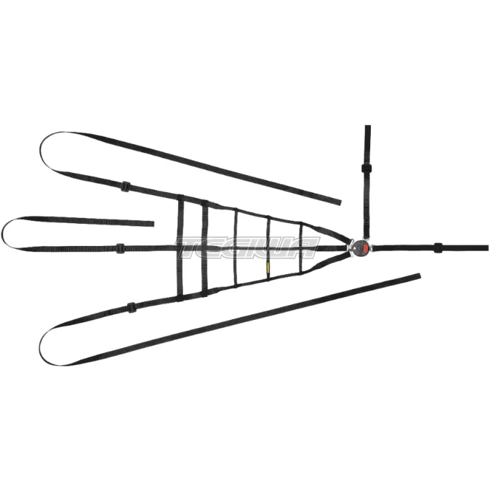Schroth interior racing driver net with 5-point harness push button, designed for racing car safety accessories.
