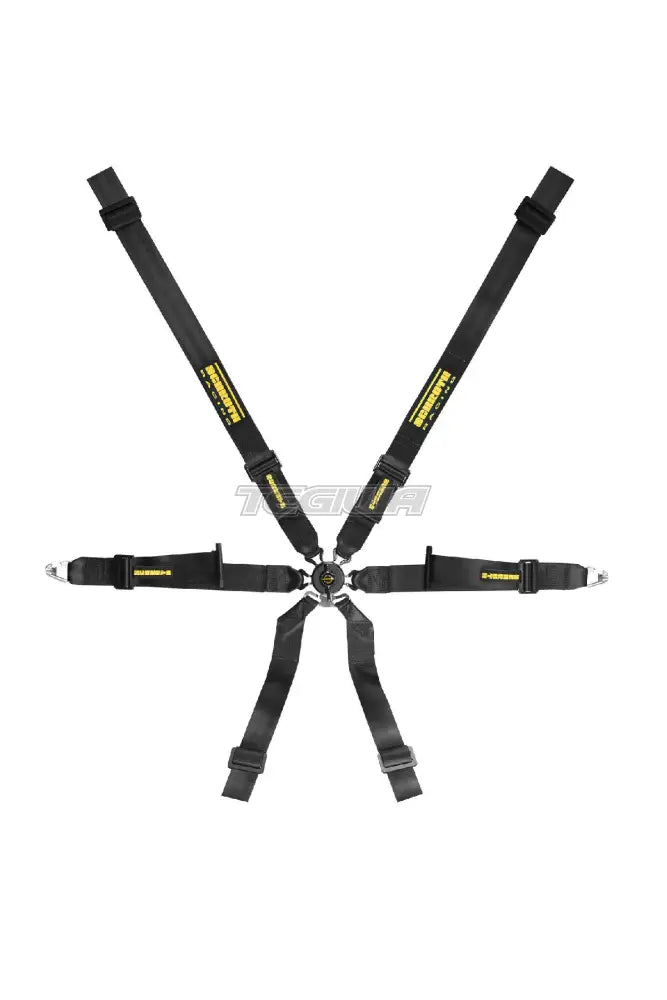 Schroth XLT 2x2 Profi Harness showing durable black straps and metal buckle for racing safety and secure fit.