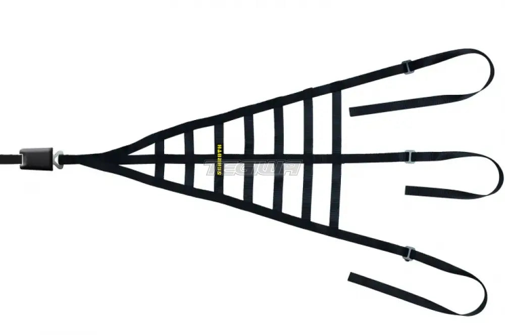 Schroth interior racing driver net with harness attachment points, designed for securing drivers in racing vehicle interiors.